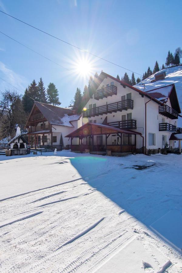 Vila Mesteacanul Moeciu De Sus Esterno foto